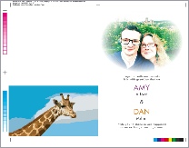 Dave Barkshire website promotions