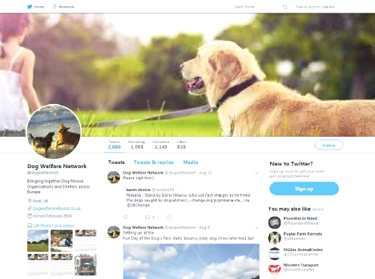 Dog Welfare Twitter page Dog Welfare Twitter page